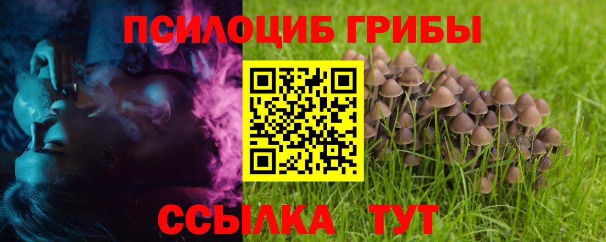 Галлюциногенные грибы мухоморы Советск