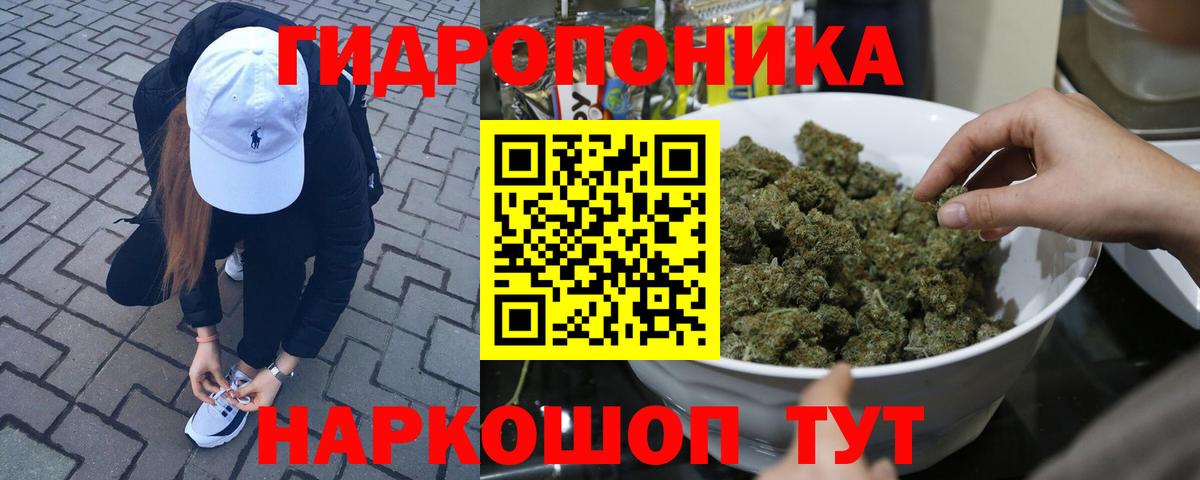 Бошки Шишки OG Kush  Бошки Шишки Ganja  Бошки марихуана Bruce Banner  Вход с VPN  Каннабис планчик  Советск 